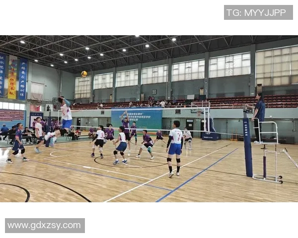 排球战术分析：北京排球队荣膺全国第二名的背后故事与策略探讨